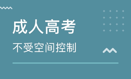 專升本成人高考大學(xué)語(yǔ)文作文